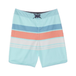 Board Shorts